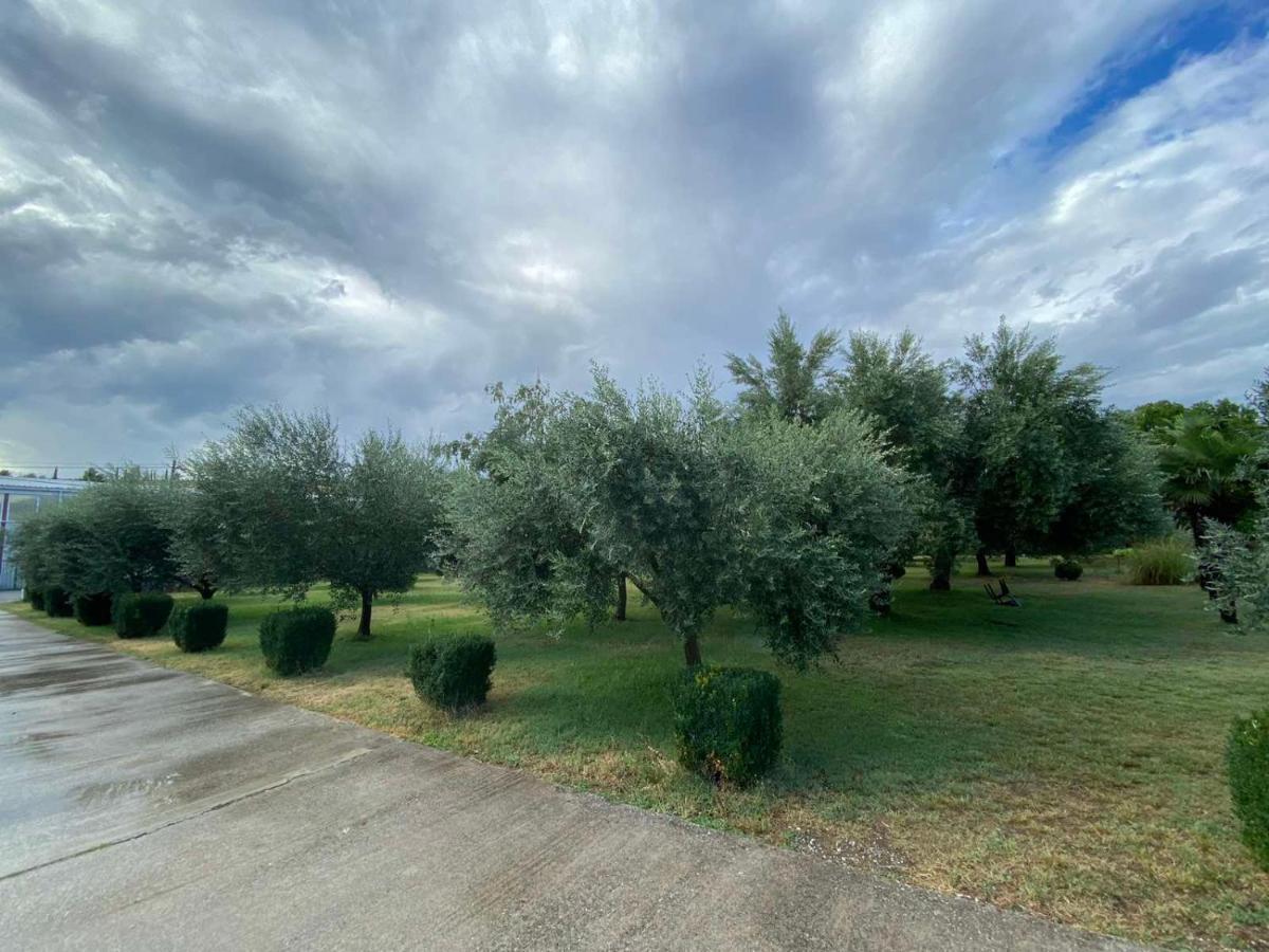 Olive Apartment Podgorica Kültér fotó