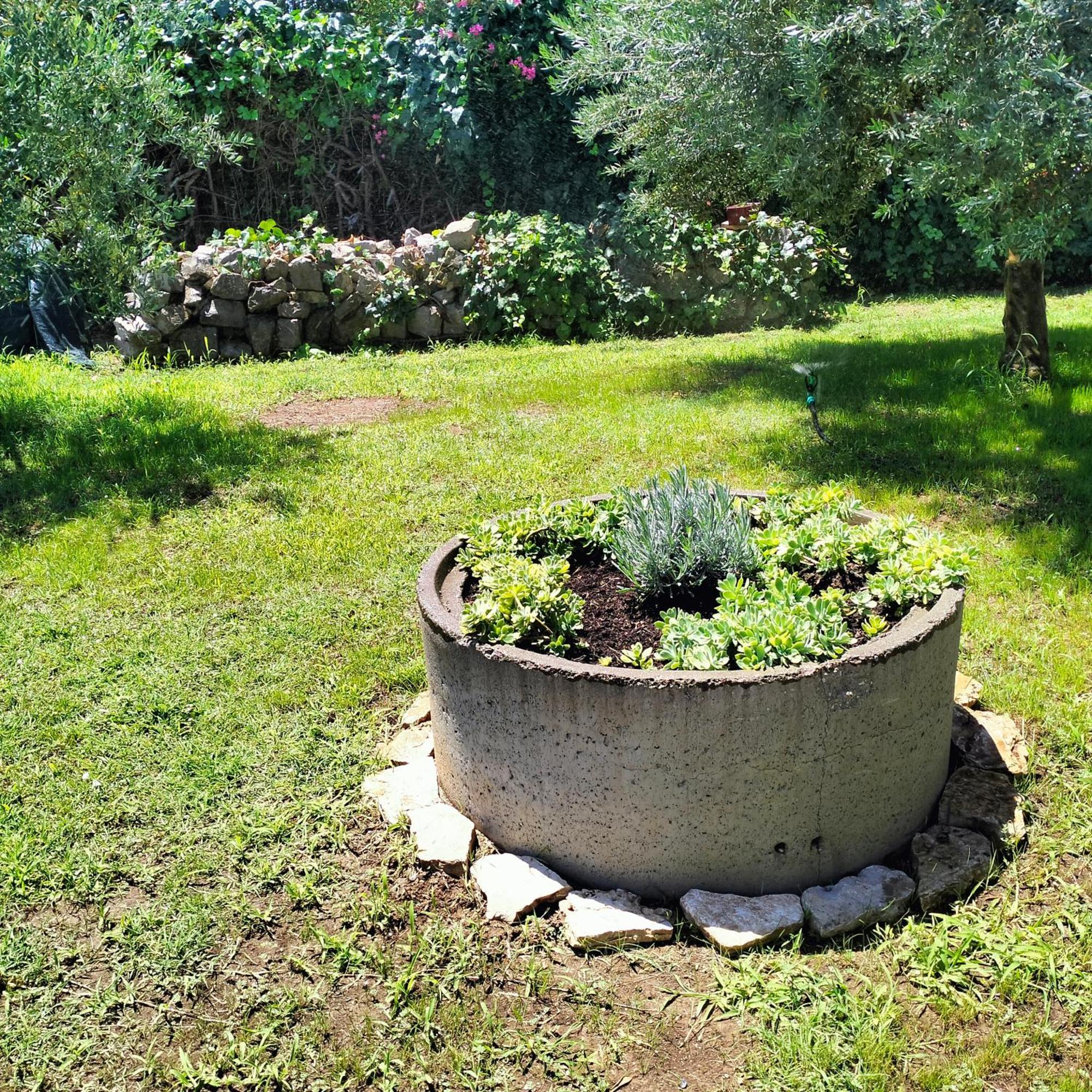 Olive Apartment Podgorica Kültér fotó