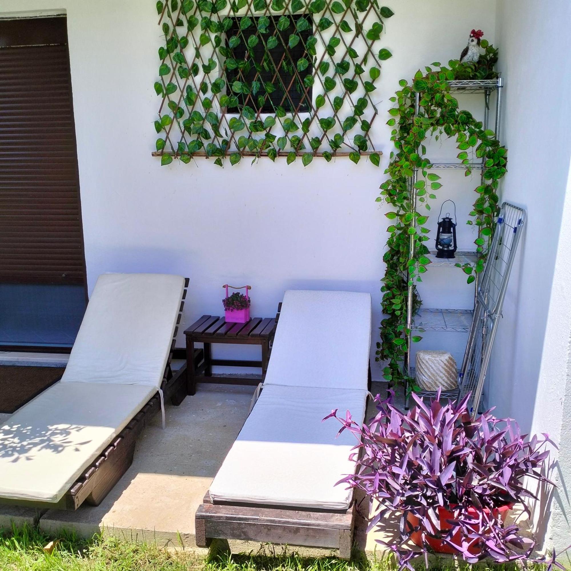 Olive Apartment Podgorica Kültér fotó