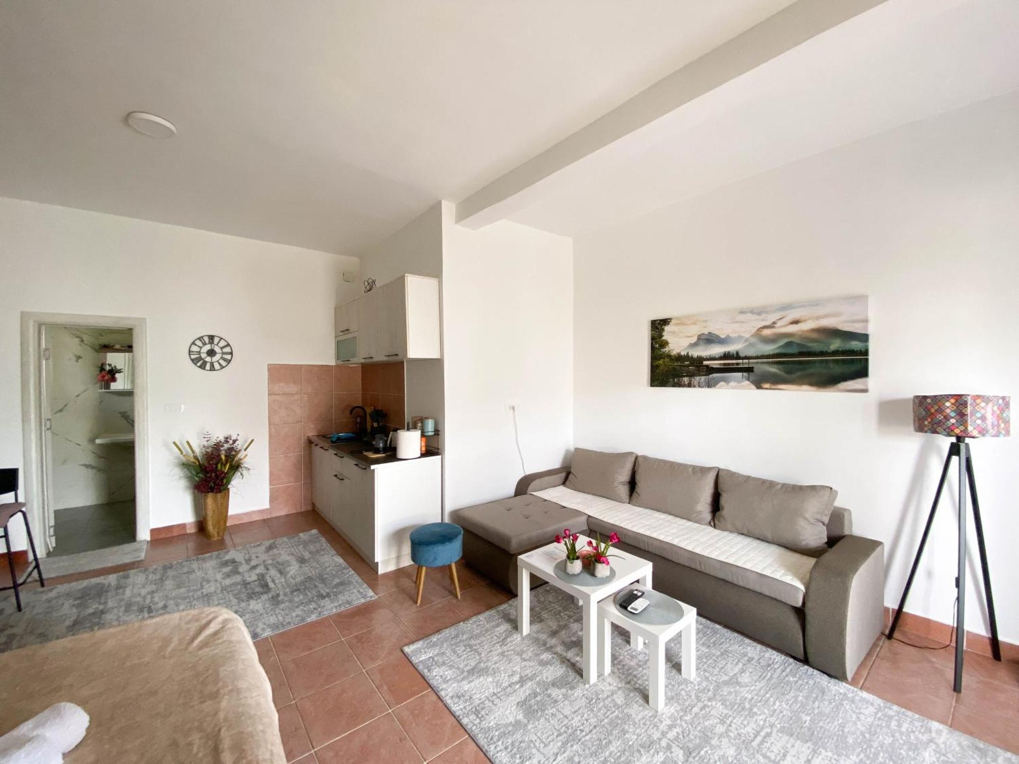 Olive Apartment Podgorica Kültér fotó